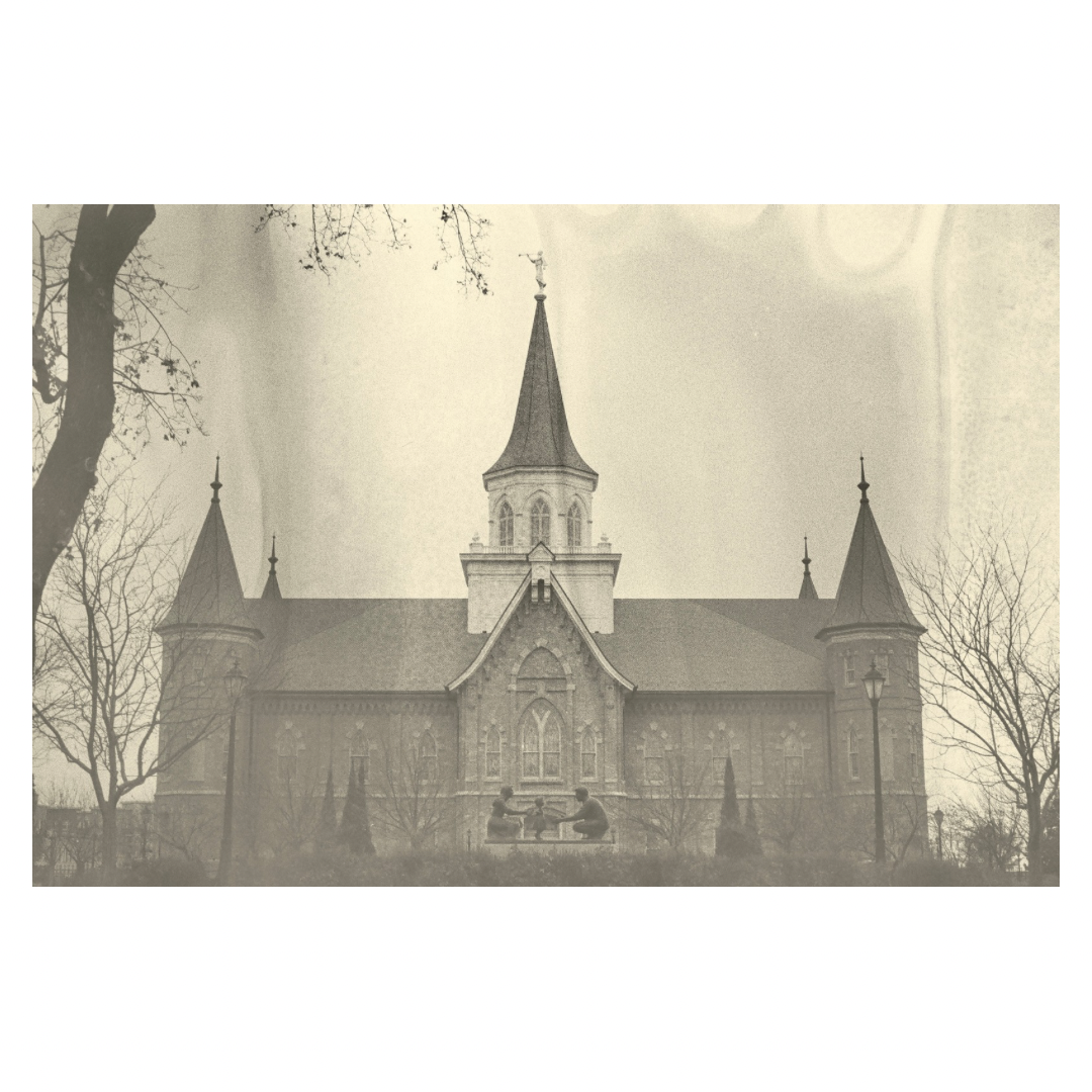 Portrait by Hayli Jo